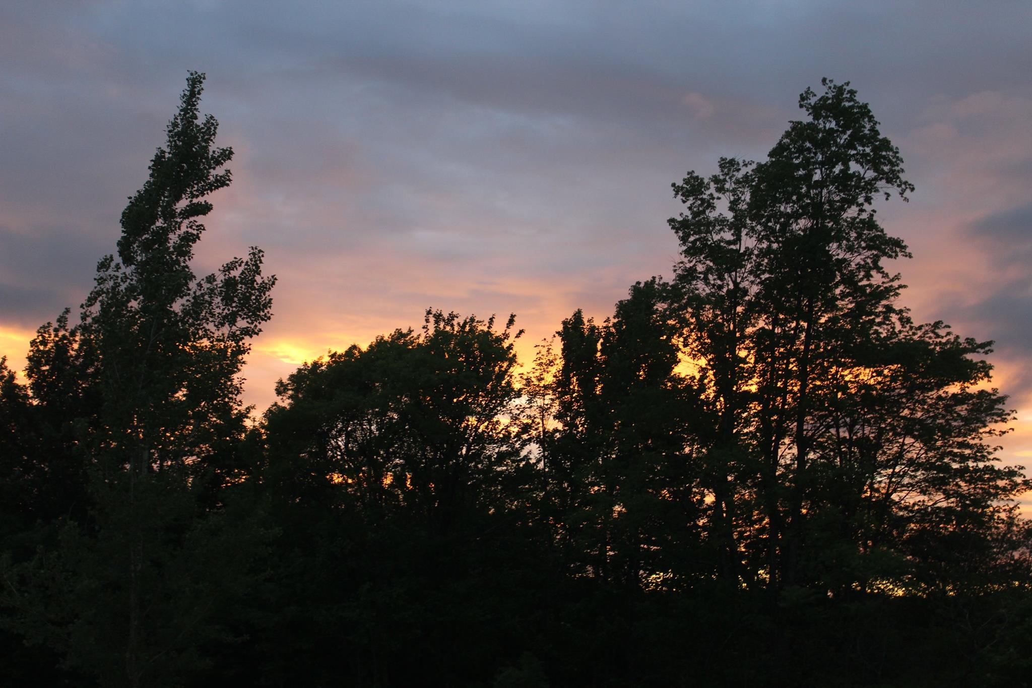 Picture of sun setting over the trees.